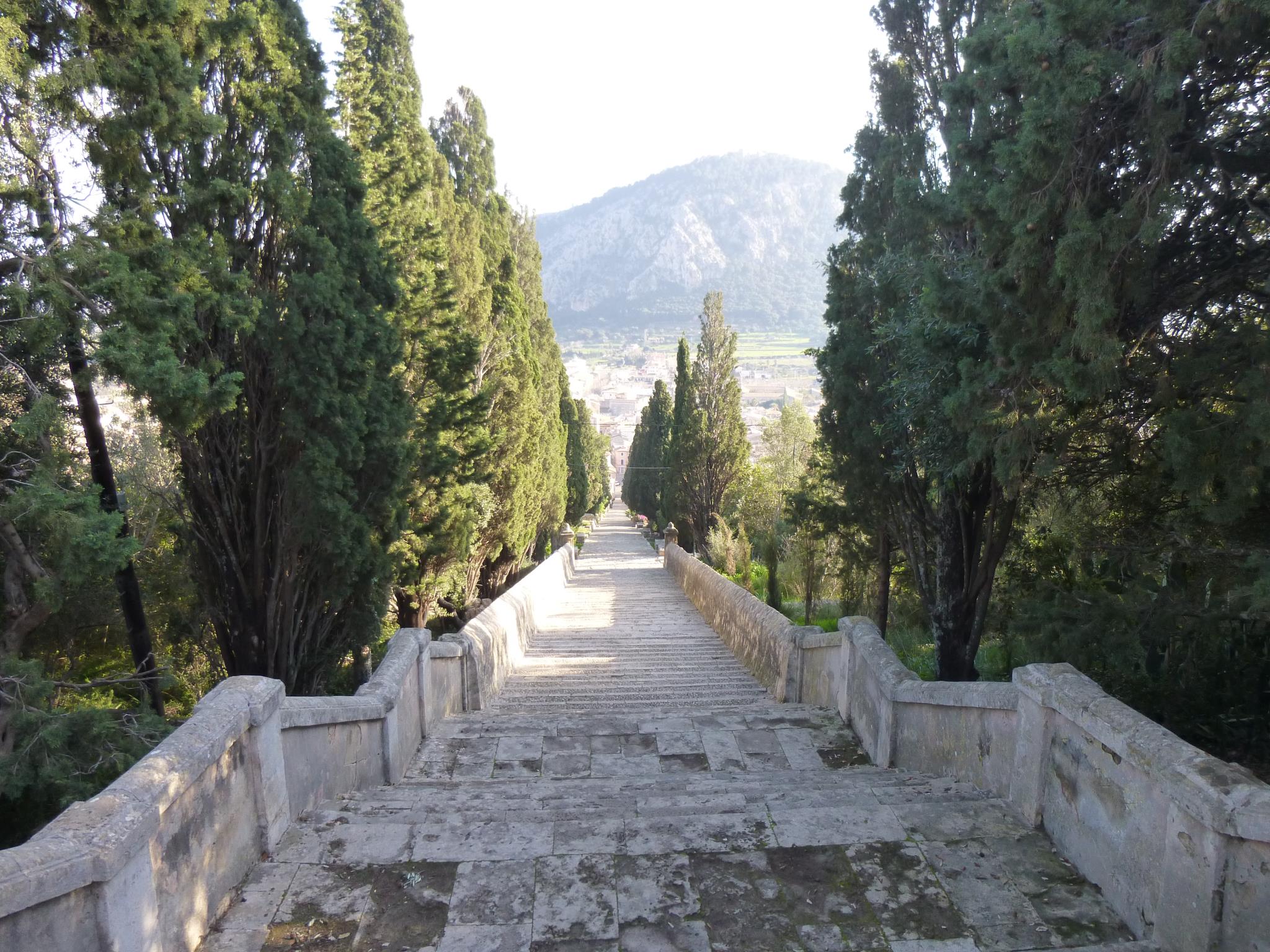 P1030668